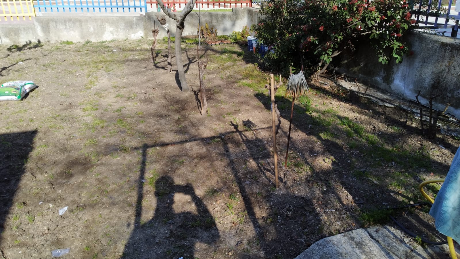 Detalle de la zona del huerto del C.E.I.P. Quevedo sin preparar