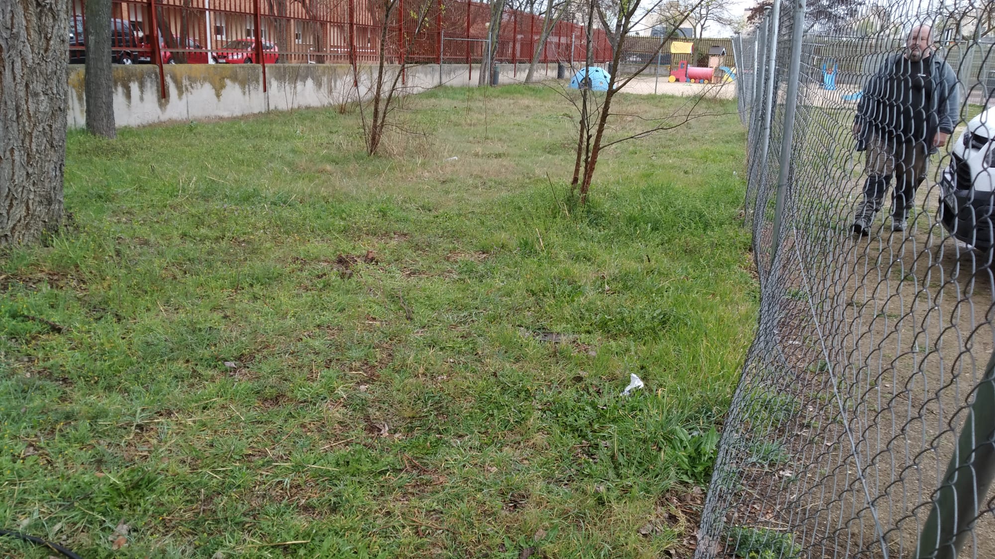 Otra imagen de la zona acotada para el huerto del C.E.I.P. Velázquez