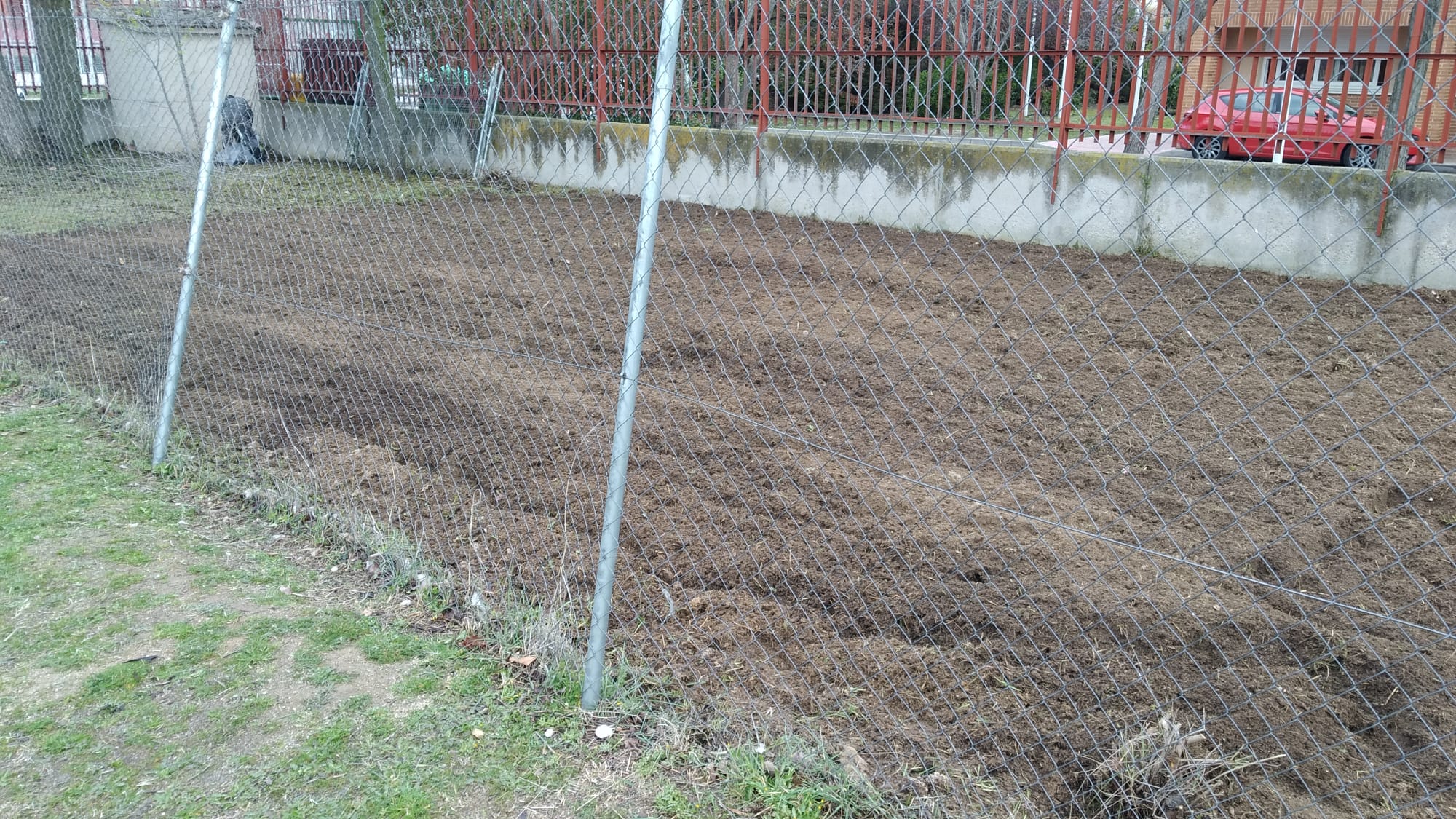 Otro detalle de la zona labrada del huerto del C.E.I.P. Velázquez