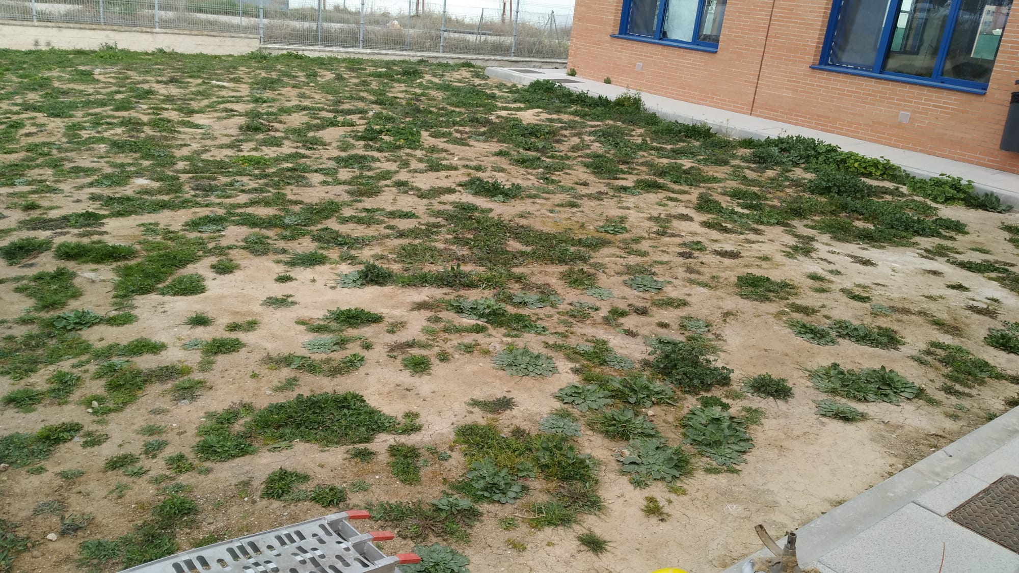 Imagen de la zona del C.E.I.P. Yvonne Blake antes de preparar el huerto