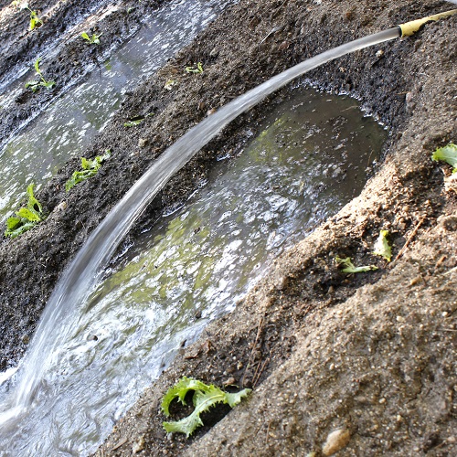 Manguera vertiendo agua en un surco