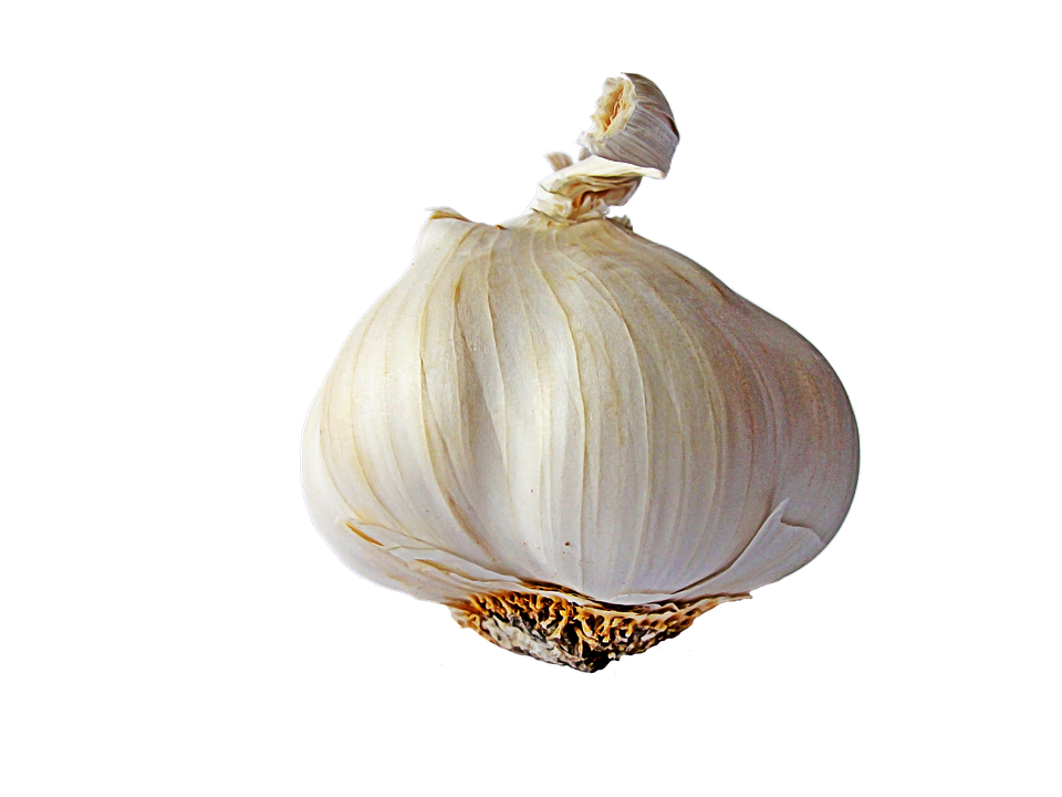 Ajo