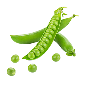 Guisantes
