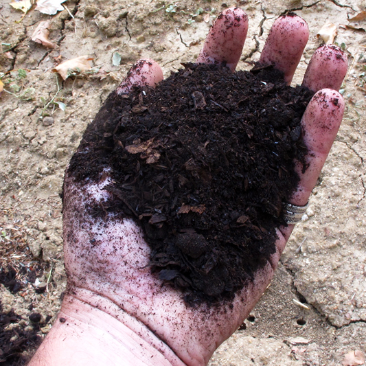 Mano con puñado de tierra en la palma
