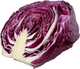 Lombarda