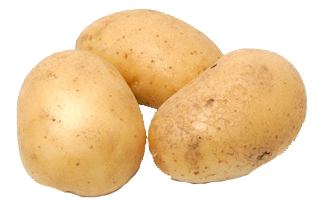 Patata temprana