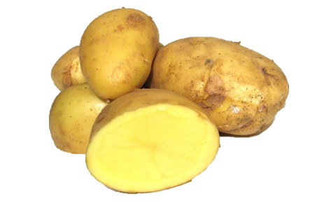 Patata tardía