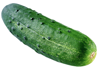 Pepino