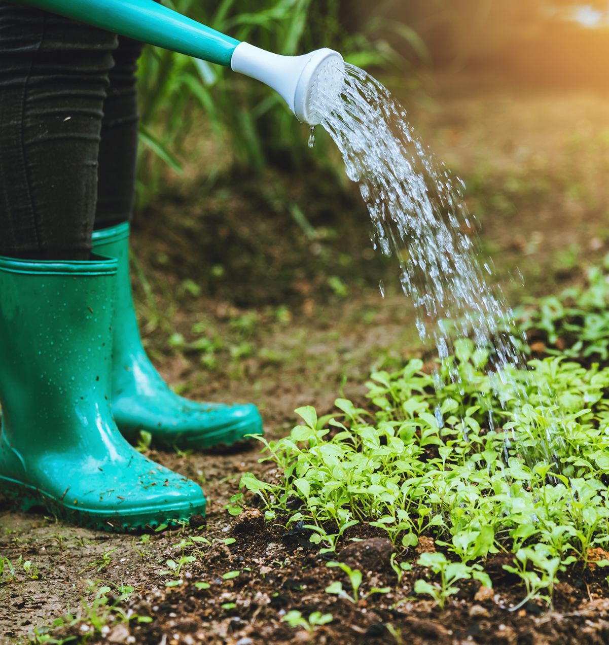 Alguien con botas de agua regando con una regadera