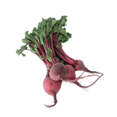 Remolacha