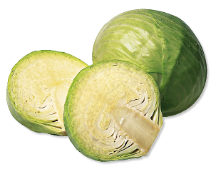Repollo