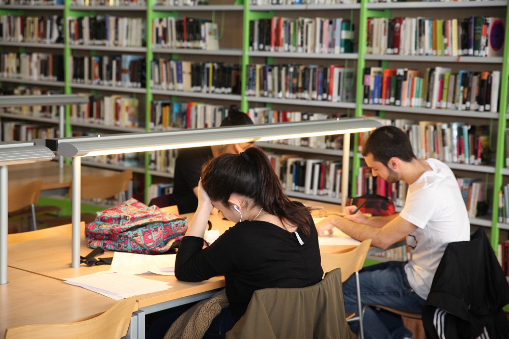 Estudiantes en la biblioteca de Loranca