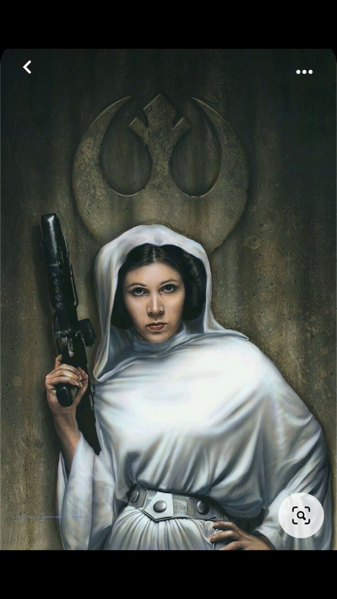 Grafiti Leia 1052023