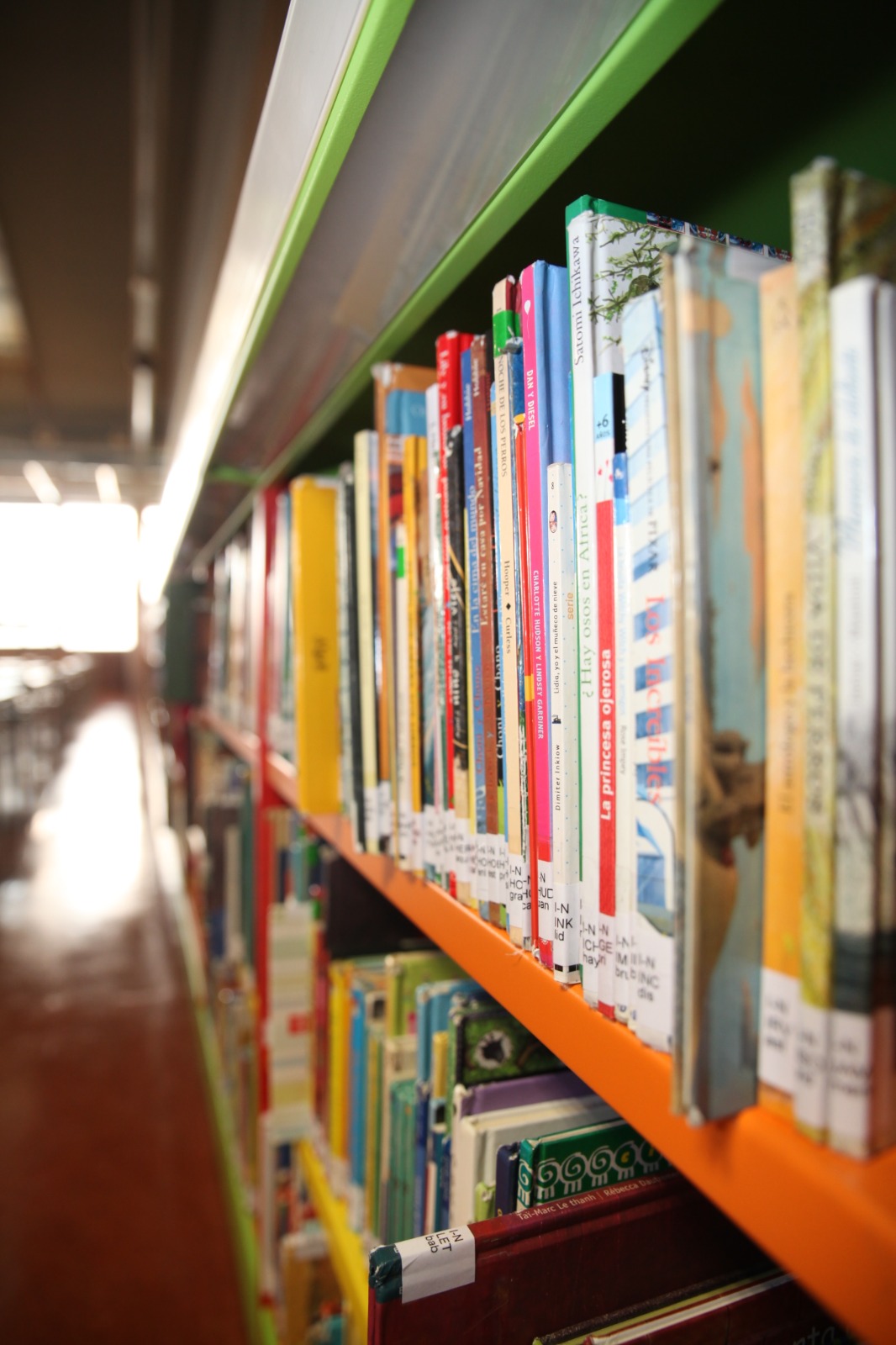 Seis bibliotecas municipales celebran el Dia del Libro 2042023