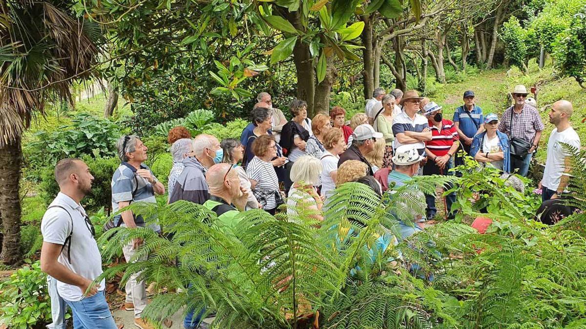 Los mayores podrán disfrutar de su ocio en compañía durante los meses de verano