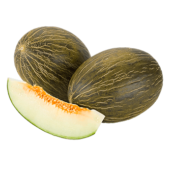 Melón