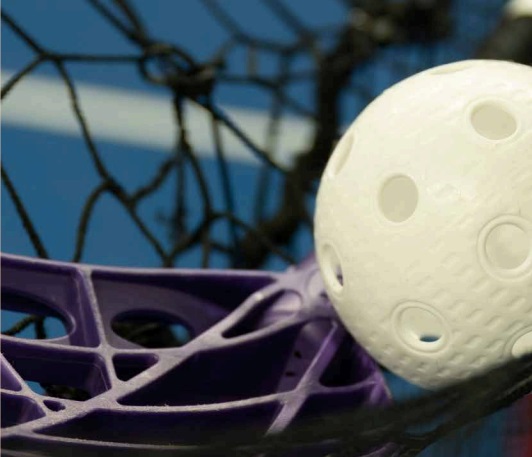 Pelota y red de unihockey