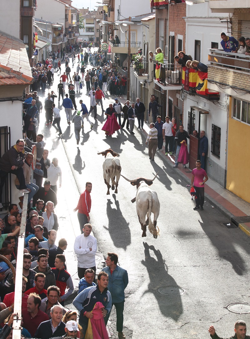Calle con gente y toros en los encierros