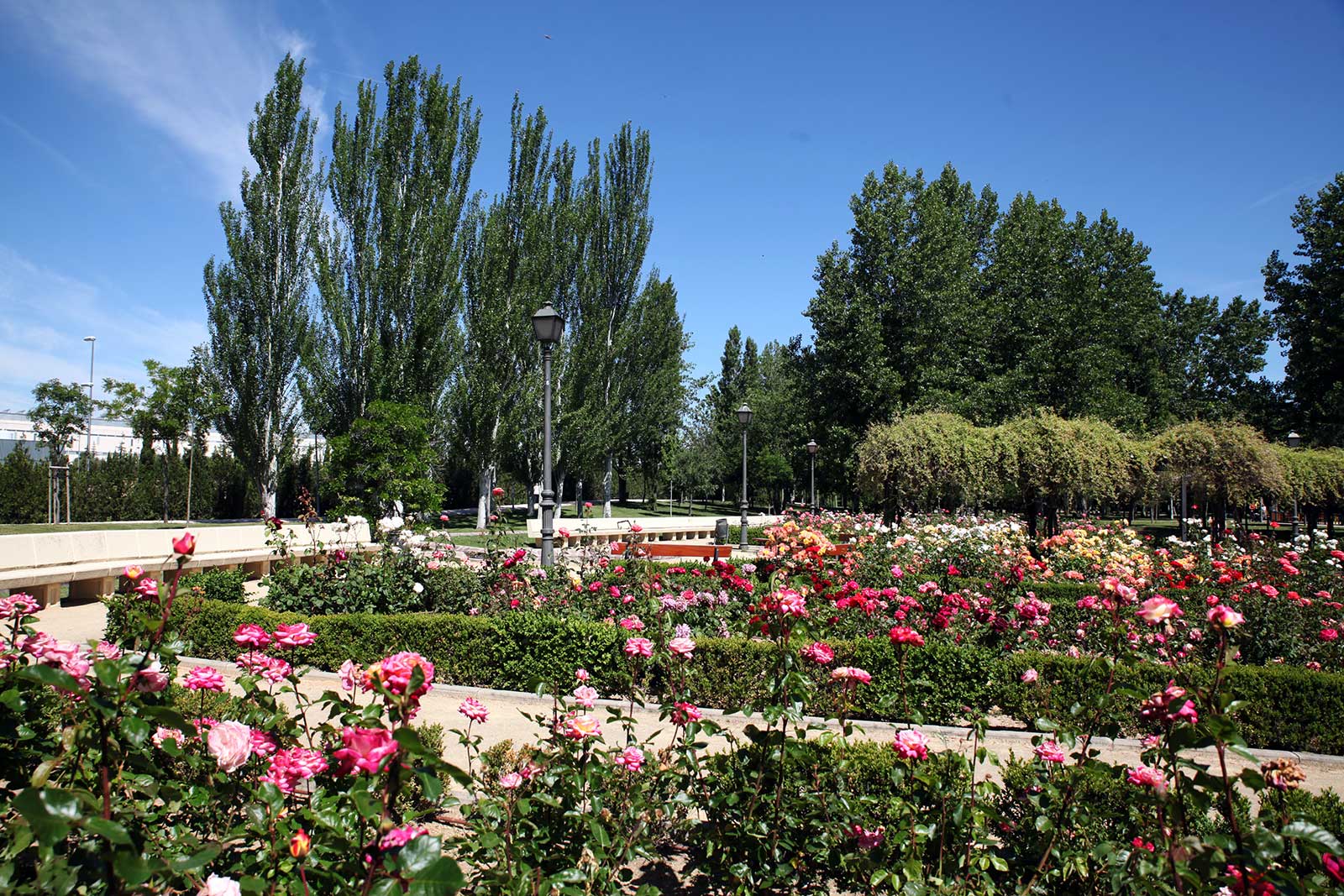 El Ayuntamiento amplia el riego de zonas verdes con agua regenerada