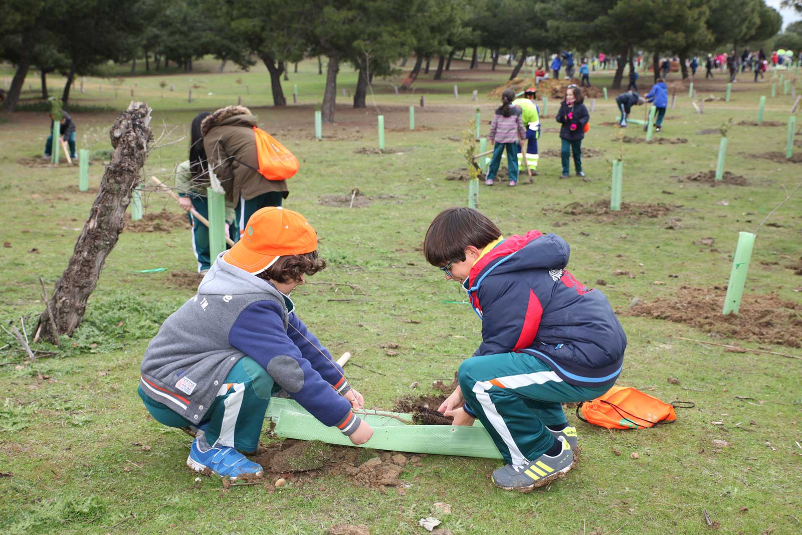 Niños plantando árboles